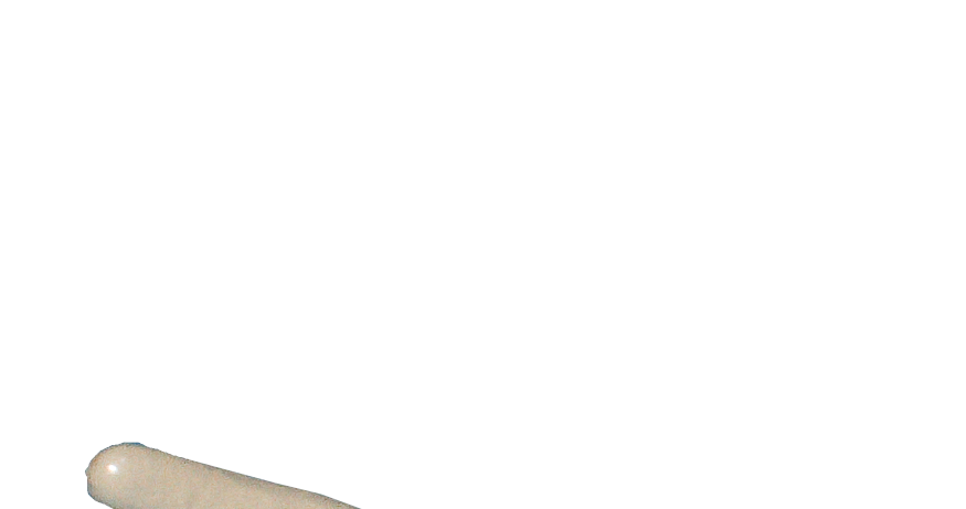 Triceratops.png