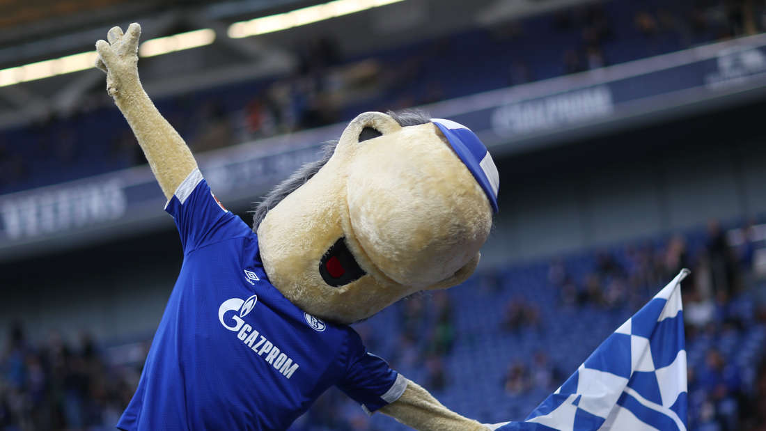 Mascotion