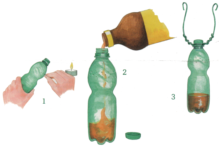 Flasche.png